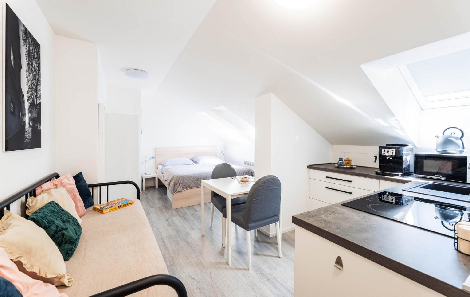 Silvie Apartments - Wurmova オロモウツ 部屋 写真